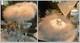 Big Down Feather Trimmed Puff with Perfumed Body Dusting Powder & Stand Vanity Set
