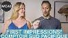 Comptoir Sud Pacifique Perfume First Impressions And Quick Reviews Wow