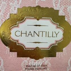 Dana Chantilly Dusting Powder Exquisite Feminine Scent Romantic & Mysterious