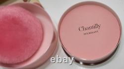Vintage Chantilly by Houbigant Dusting Powder 5 oz Sealed Interior New Old Stock