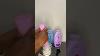 Viral Dollar Tree Dusting Powder